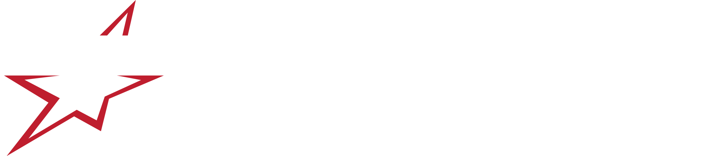 New ton logo